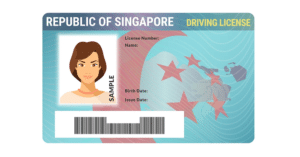singapore-drivers-license-illustrator