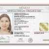 mexican consular id card
